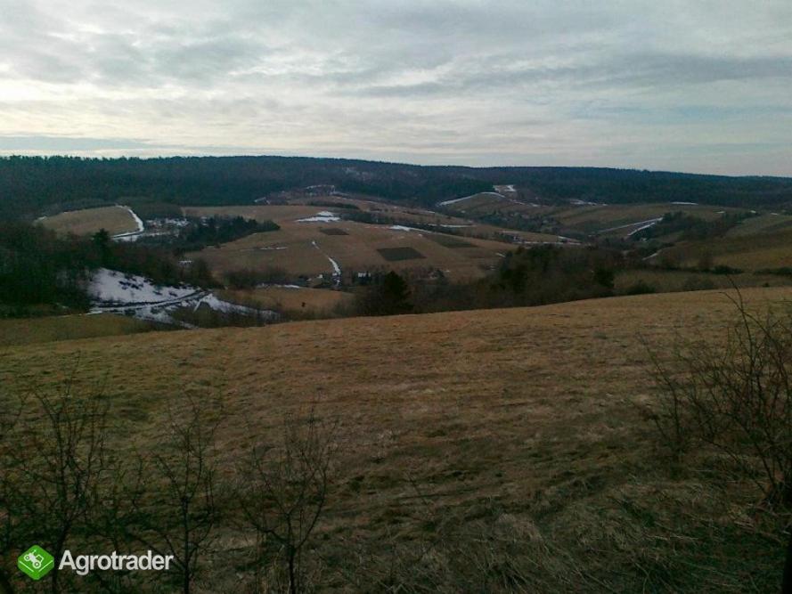 Ekoturystyka Natura Gwiazd - Green Velo - Workation Park - Ziolowy Klimat Bieszczad Dubiecko Esterno foto